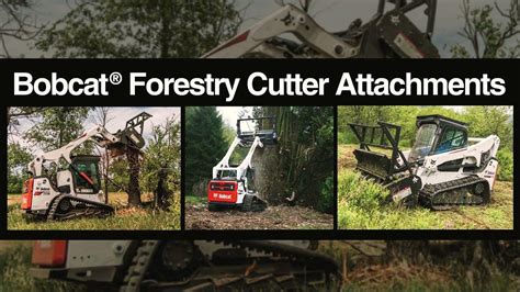 ctl 299 forestry